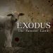 Exodus: The Passover Lamb
