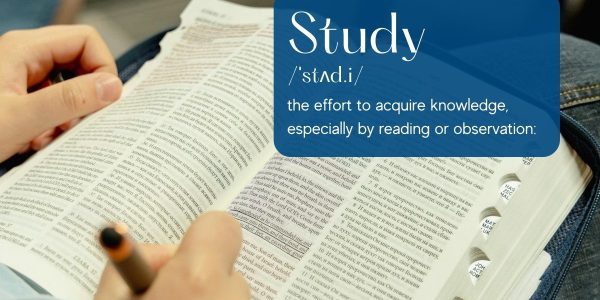 Free Bible Study Guides